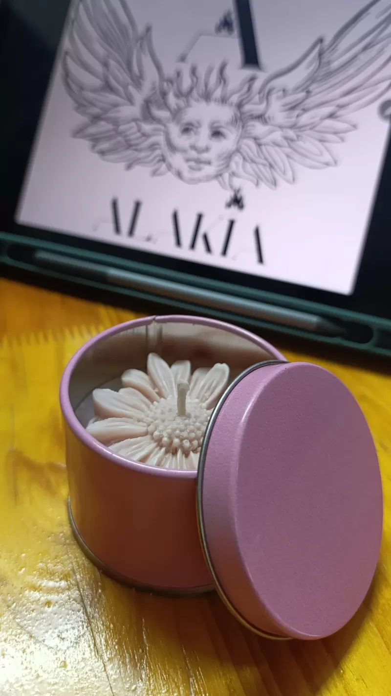 Vela latita